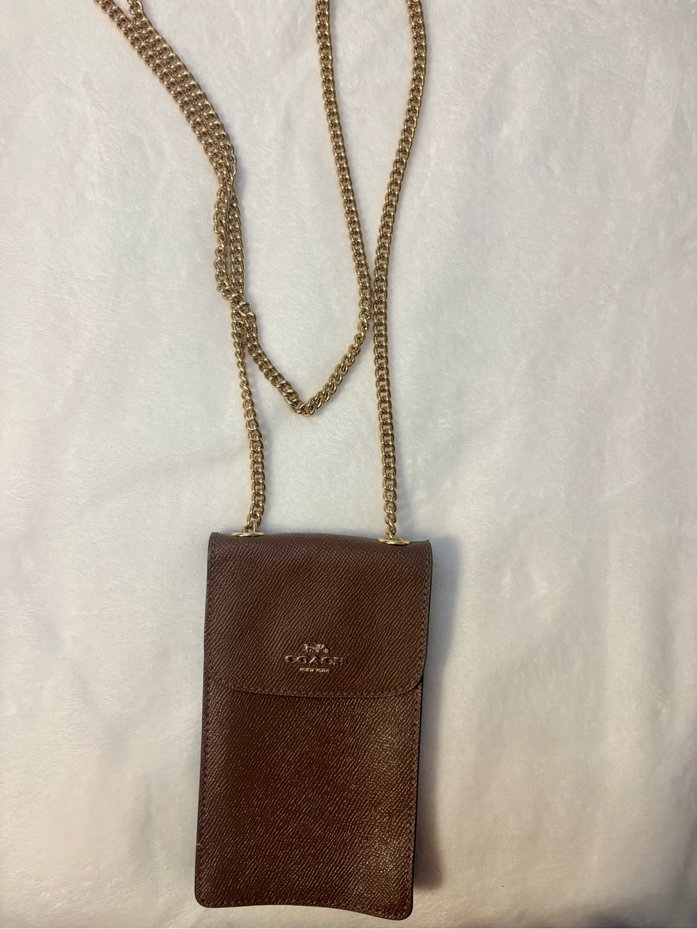 Coach Brown Leather Crossbody Pouch with Gold Chain Strap